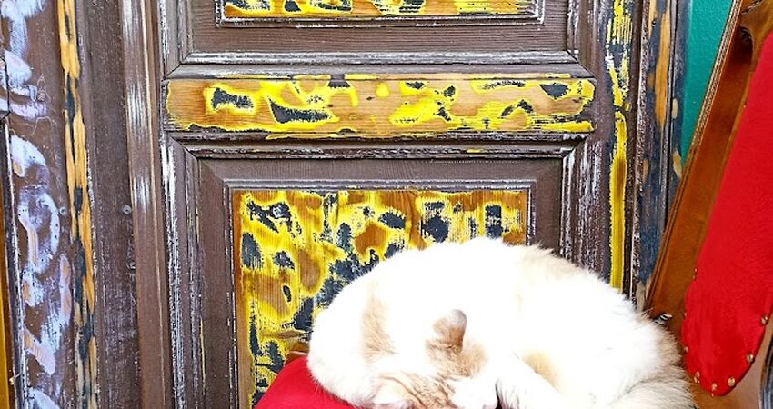 İstanbul Turları  1 Ayvansaray Balat Fener Gezisi